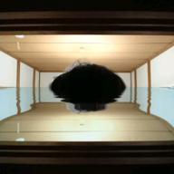 HIRO-Revolution-きただにひろし