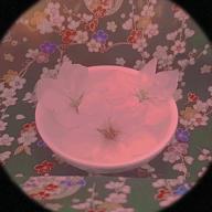 すずらん🔔👘🌸低浮上-亜麻色の髪の乙女-島谷ひとみ