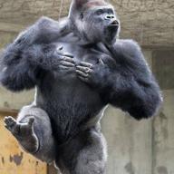 🍌🦍突然のゴリラ🦍🍌-Legend of Mermaid-七海るちあ(中田あすみ)、宝生波音(寺門仁美)、洞院リナ(浅野まゆみ)