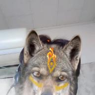 Kenny=ONE-恋の予感-安全地帯