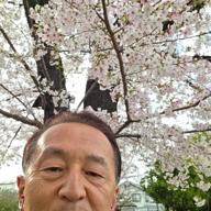 ワオくん-SAKURA-いきものがかり