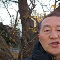 ワオくん-JANE DOE-米津玄師,宇多田ヒカル