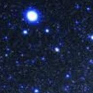 D-51🚂💨💨-風来坊-ふきのとう