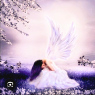 🌙🐈️たび☔️