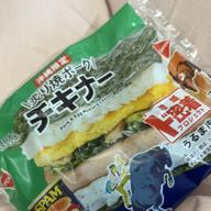 テノリゾウ.