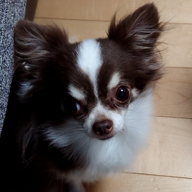 eichanのんびり視聴💦