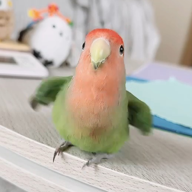 soubusen