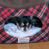 🦔🧸とーくん🍀📸👒