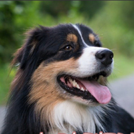 🐍高校生教師🐍