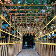 ♡⃜︎sato🫧Chan🫧