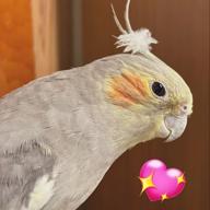 灯akari