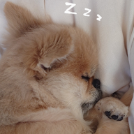 🟦🇰 🇦 🇿 🇿