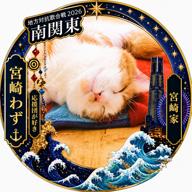 宮崎わず🐱決勝21:30頃〜