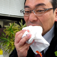 🍃ひいらぎ🍂