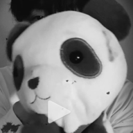🎸🐼ぱんたろう（休）