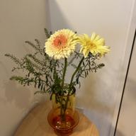 🌻しおねえ🌻4444投稿達成🥰