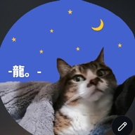 -南南東龍子。-