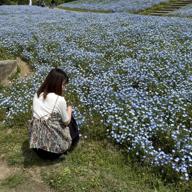 🍓ちーたん🐰