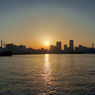 小声ミリ。🐹🐦