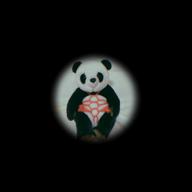 こせきっコ🎷🐼