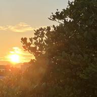 🌙.*オレンジの月🌙.*·̩͙