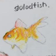 ともぞう🐶🐟