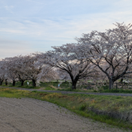 🦔🧸とーくん🍀📸👒