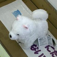 chi_@