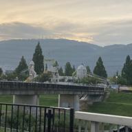 チャーリー🐭🌼💕多忙でごめんね