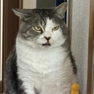 💩🫕Aོsོuོ🫕💩