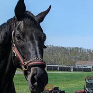 🥜まめちん先生🥜