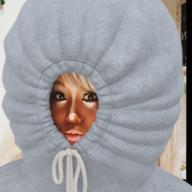 🐈さらみや🐈