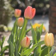 ゆん♪🐢💕✨