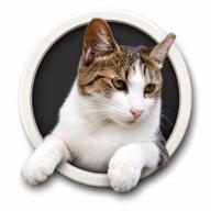 🧷さくらねこ⏰23時30分