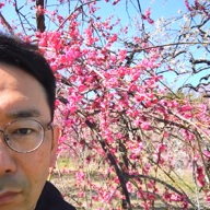 🍃ひいらぎ🍂