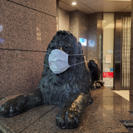 🩸あるるかん💧