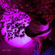 💚KAON💚(◉ϖ◉)