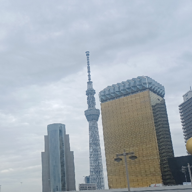 スリーピングドッグ