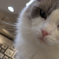 アニソン強化中メシア