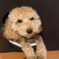 ふー(๑•ω•๑)♡