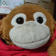 tak-fj（タック)🍺🐶