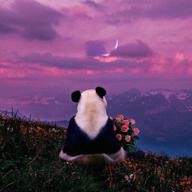 KOTA(♡´͈ ౩ `͈ )