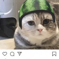 出川ガールズ3号