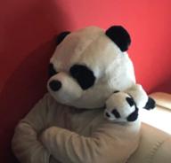 堕パンダ