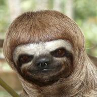 幻の生物naru🏴☠️