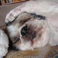 Jです。真面目に歌って黒歴史