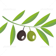 いすけ🫒🥃⸌⍤⃝⸍