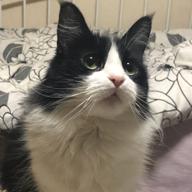 👉おはぎ|はるでぃ)👌