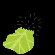 🐬🍡きなこもち🍡🐙