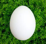 名前が決まらない人